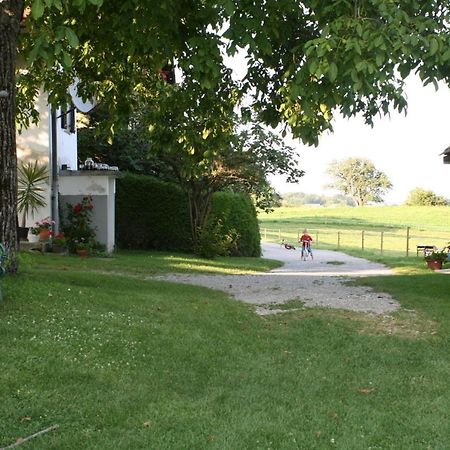 Ursteirerhof - Familie Kerschbaumer Paalsdorf Exterior foto