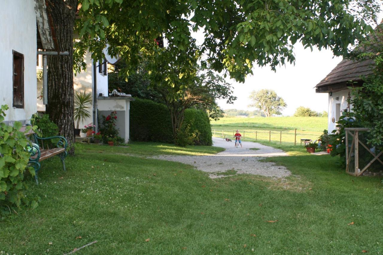 Ursteirerhof - Familie Kerschbaumer Paalsdorf Exterior foto